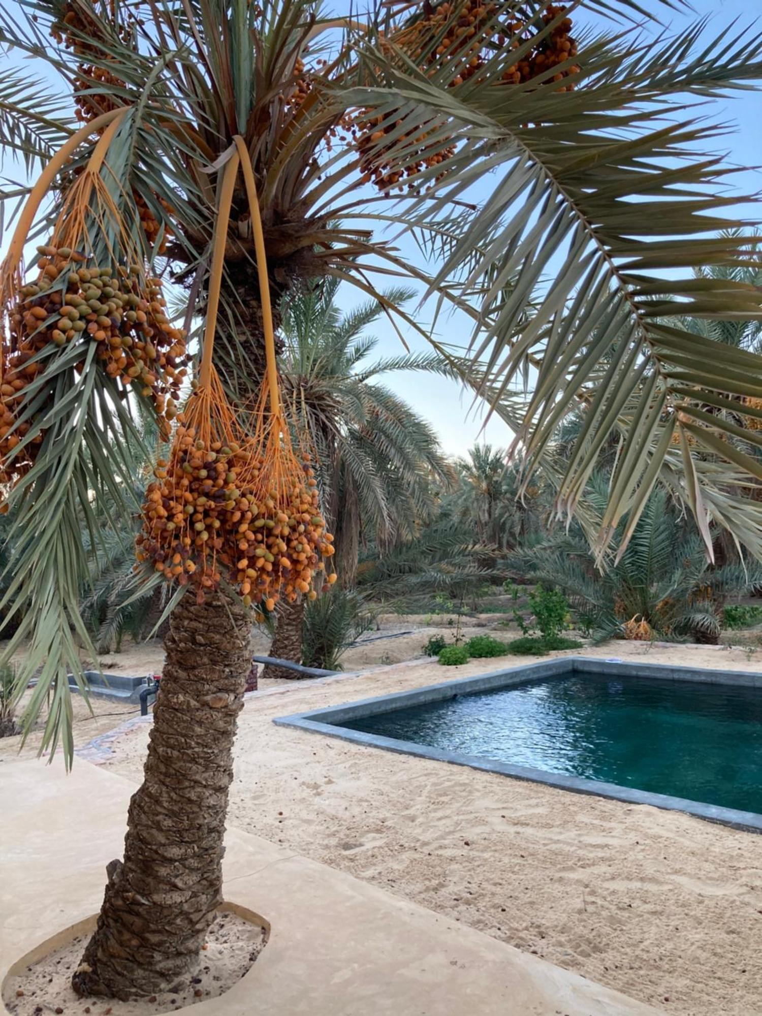 Willa Wafla Siwa Oasis Zewnętrze zdjęcie